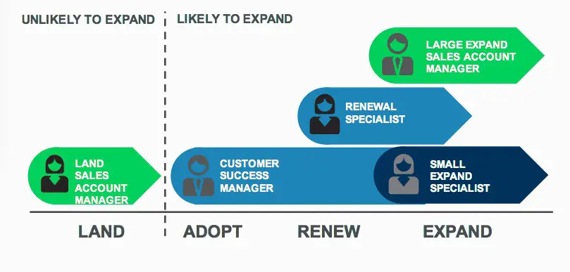 Different Roles in the LAER Model