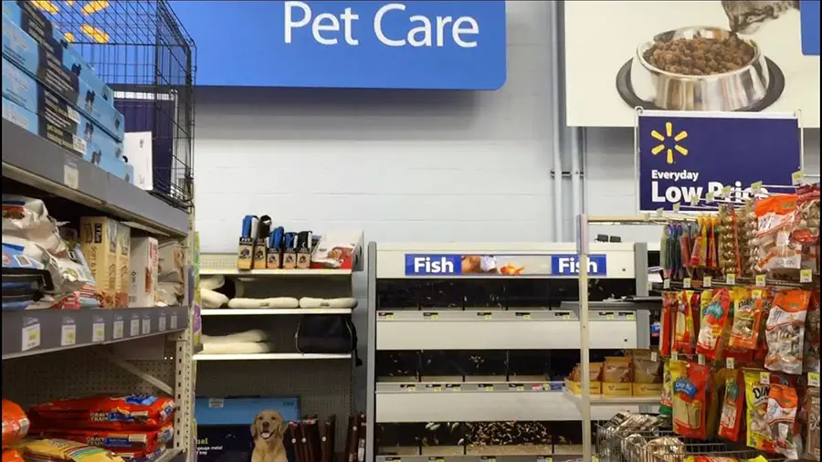 Pet Supplies