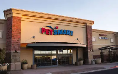 PetSmart Fish Return Policy 2024 – What Should You Know?