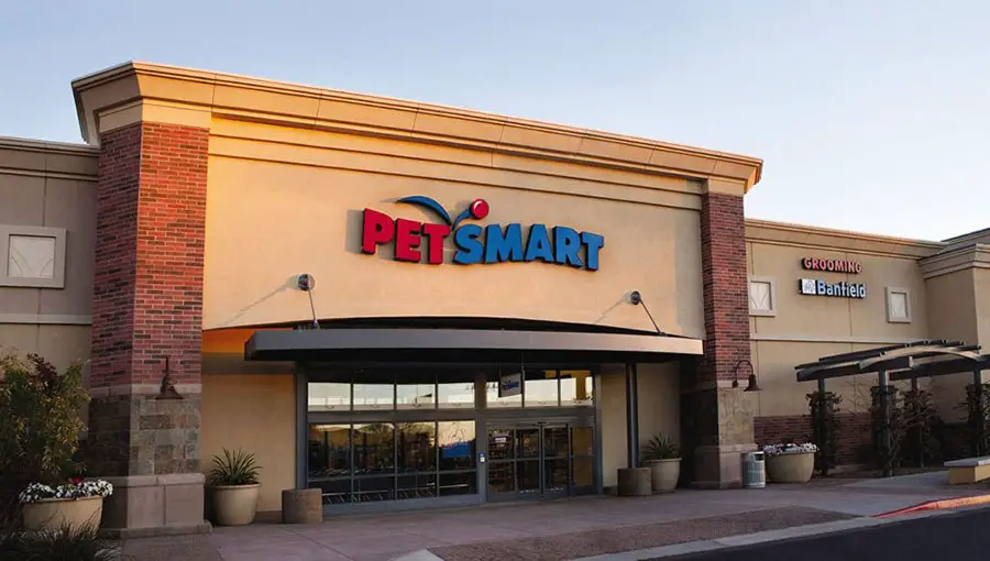 PetSmart Fish Return Policy 2024 – What Should You Know?