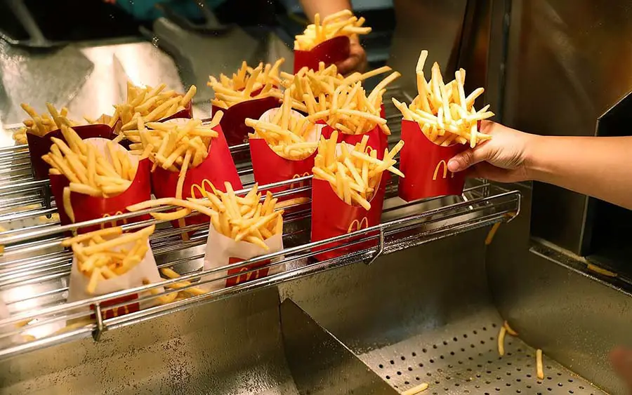 Are Mcdonald's Fries Vegetarian