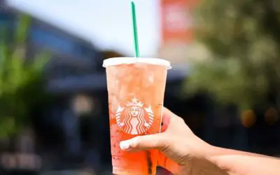 Do Starbucks Refreshers Have Caffeine – Everything You Need To Know!