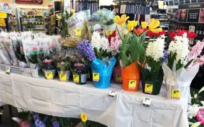 Does CVS Sell Flowers 2022? Let’s Find Out The Answer