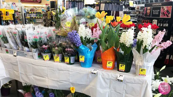 Does CVS Sell Flowers 2025? Let’s Find Out The Answer
