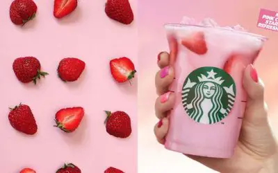 How Much Is A Pink Drink At Starbucks? The Price Of The Latest Drink!