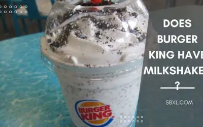 Does Burger King Have Milkshakes(Size, Flavor & Price…)