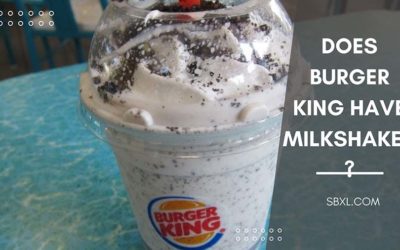 Does Burger King Have Milkshakes (Size, Flavor & Price…)