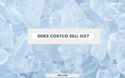 Does Costco Sell Ice? – Costco Bagged Ice Price & Location