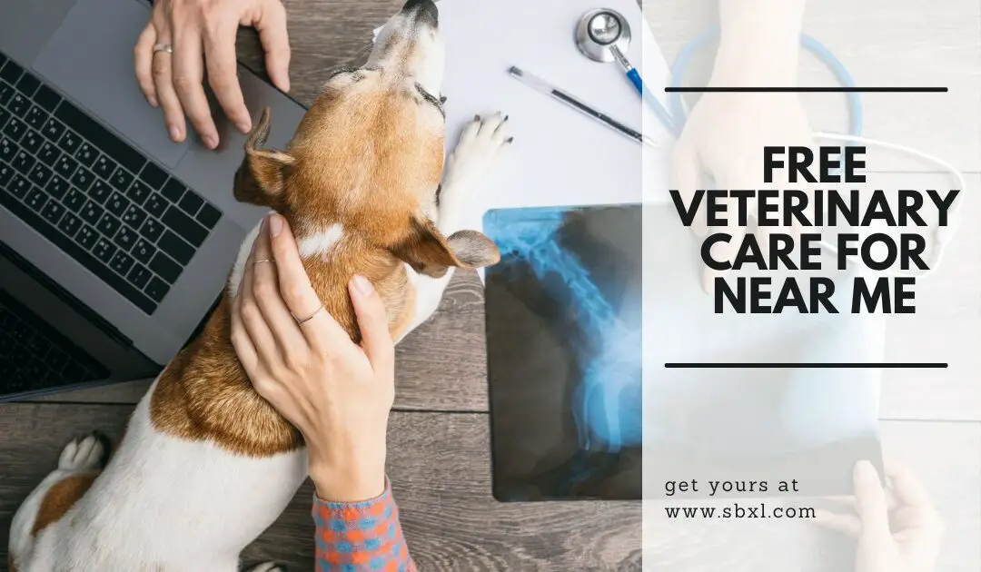 25+ Places To Get Free Veterinary Care For Low Income Near Me