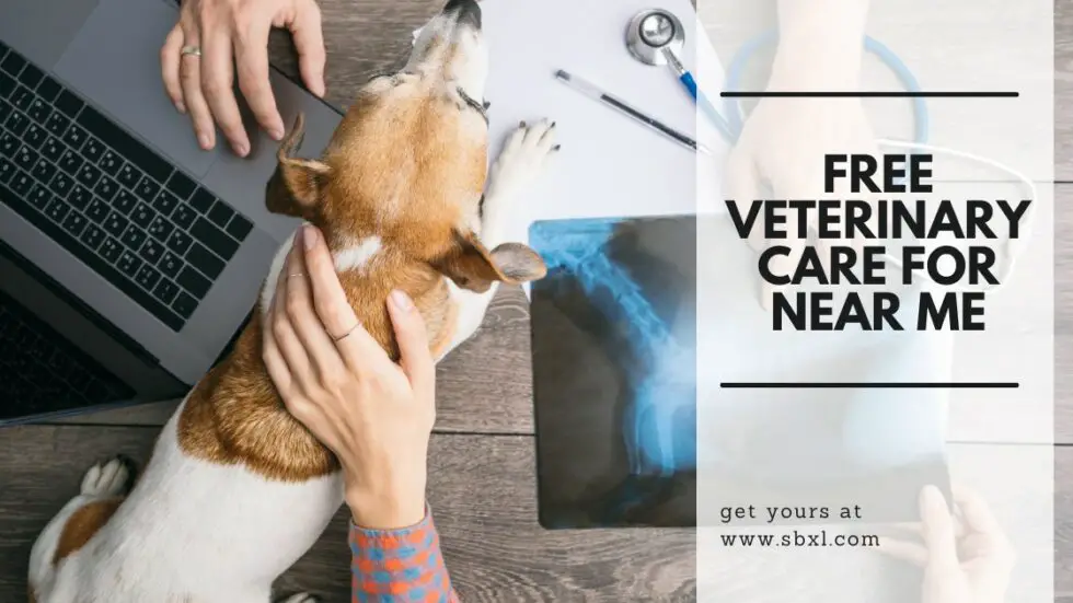 Top 25+ Free Veterinary Care For Low Places Near Me