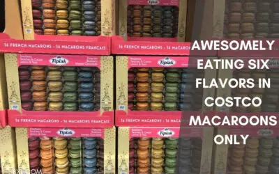 French Macarons Costco in 2024 (Price, Flavors…)