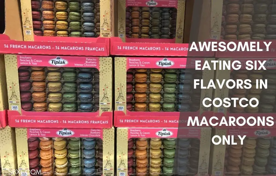 Awesomely Eating Six Flavors In Costco Macaroons Only